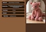 be your professional crochet pattern tech editor and custom designer